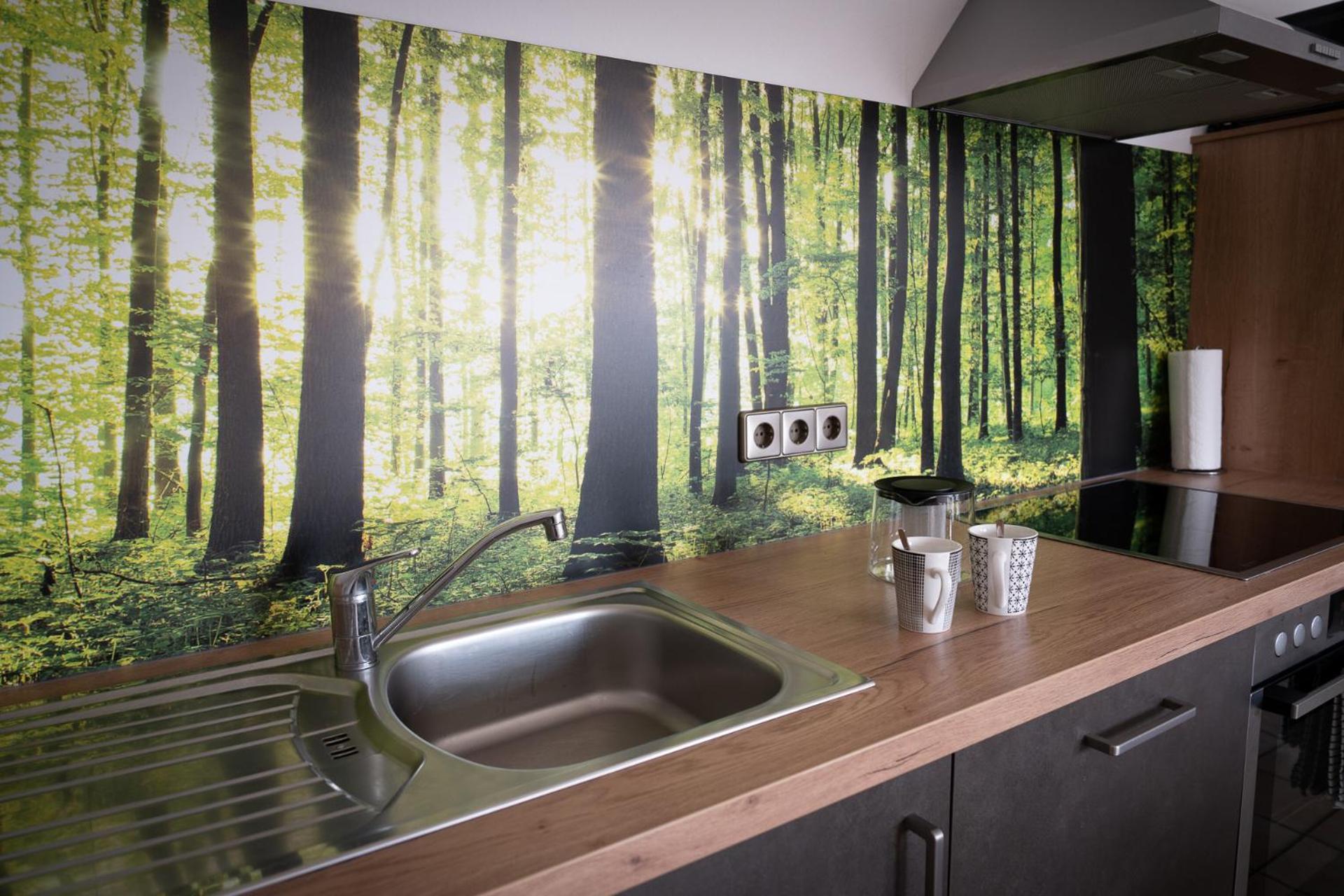 フロイデンシュタットHaus Tanjaアパートメント エクステリア 写真